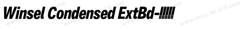 Winsel Condensed ExtBd字体转换